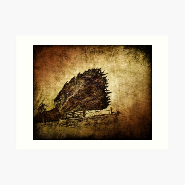 storm tree Art Print