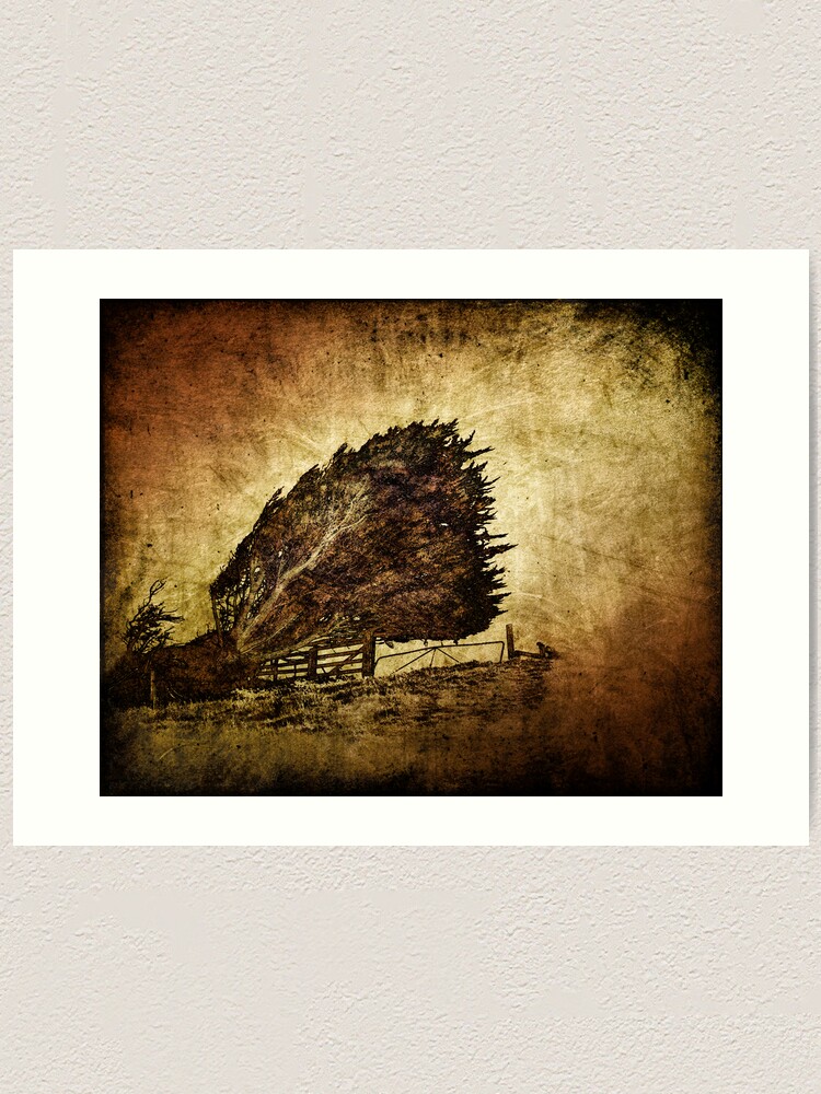 Alternate view of storm tree Art Print