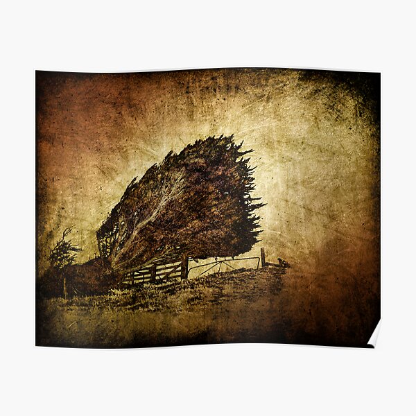storm tree Poster