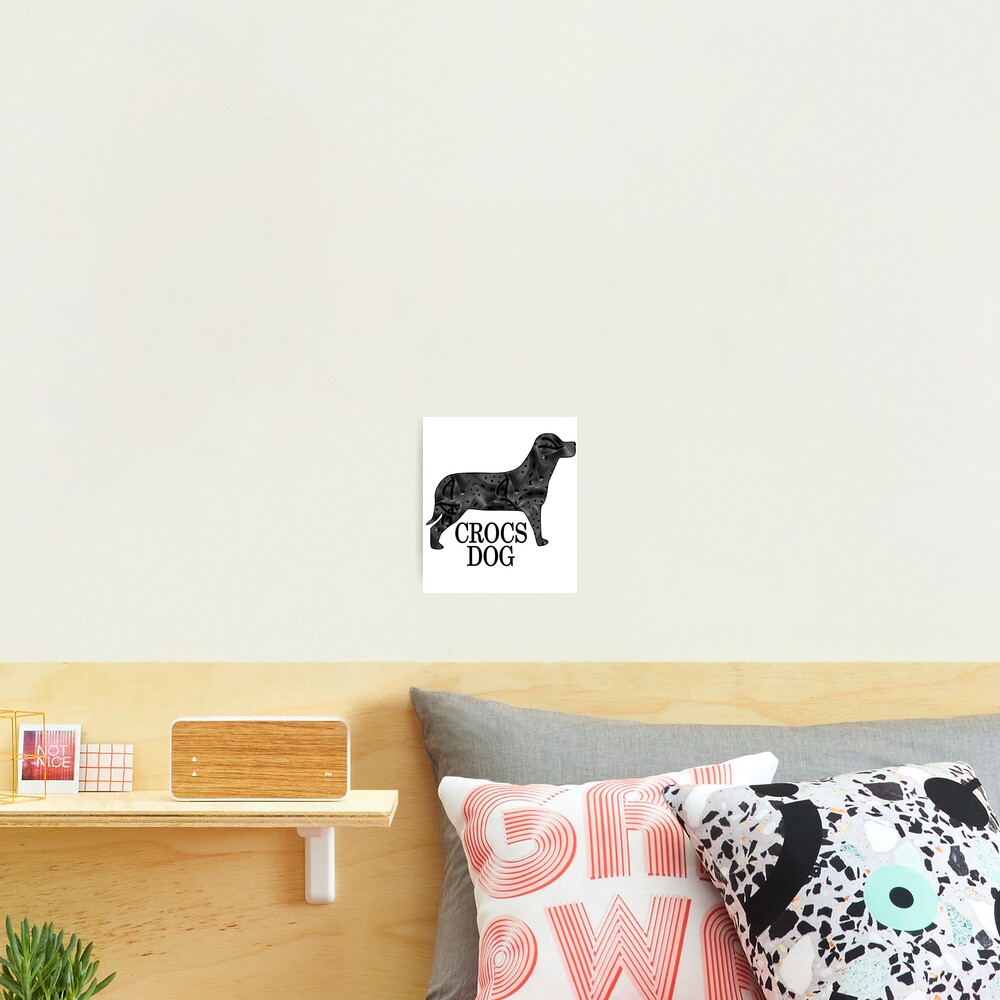 dog print crocs