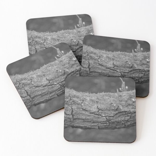 Item preview, Tree bark abstract in black and white designed and sold by iam01110011.