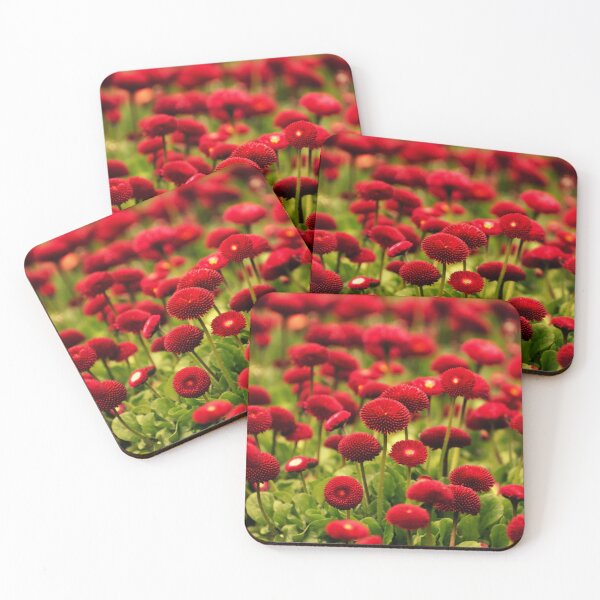 Item preview, red english daisy flowers in a field of grass designed and sold by fowons.