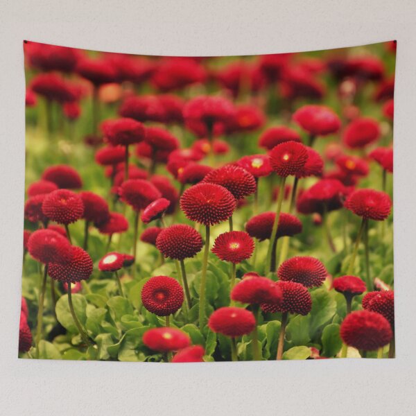 Item preview, red english daisy flowers in a field of grass designed and sold by fowons.