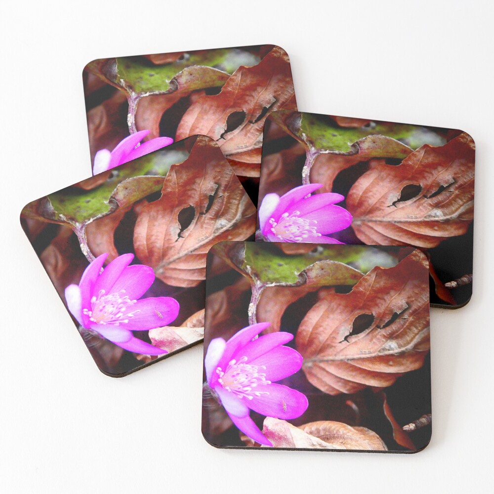 Item preview, Coasters (Set of 4) designed and sold by angel1.