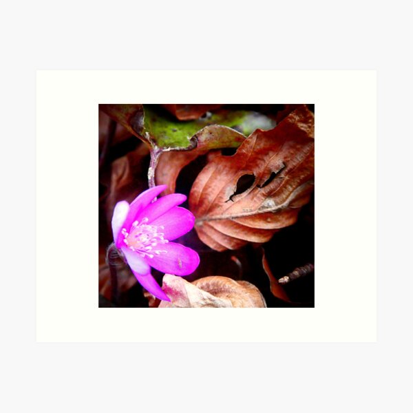 Item preview, Pink Liverleaf designed and sold by angel1.