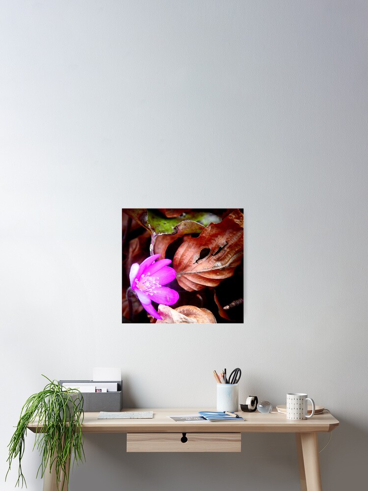 Thumbnail 2 of 3, Poster, Pink Liverleaf designed and sold by angel1.