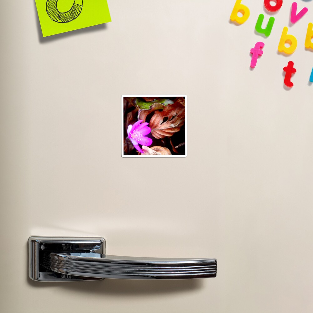 Item preview, Magnet designed and sold by angel1.