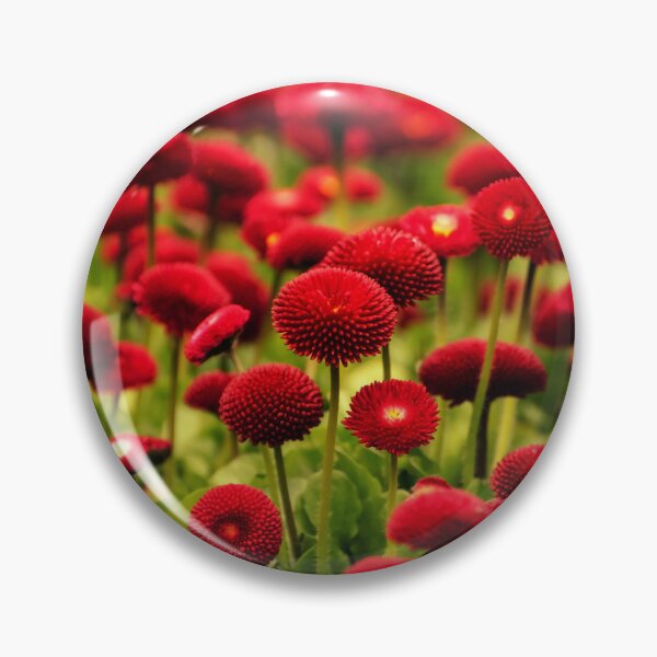 Item preview, red english daisy flowers in a field of grass designed and sold by fowons.