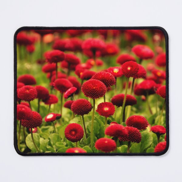 Item preview, red english daisy flowers in a field of grass designed and sold by fowons.