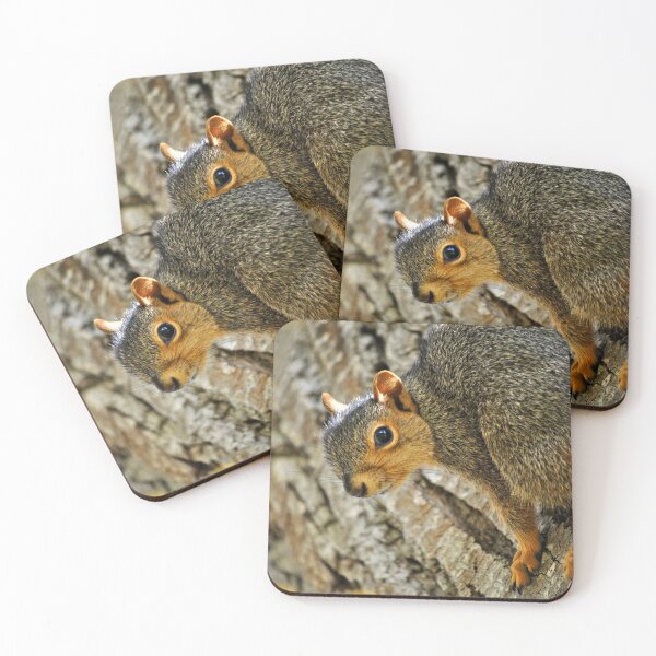 Item preview, Squirrel Stare designed and sold by EarthUnlocked.