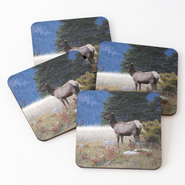 Item preview, Rocky Mountain Elk in Fall  designed and sold by EarthUnlocked.