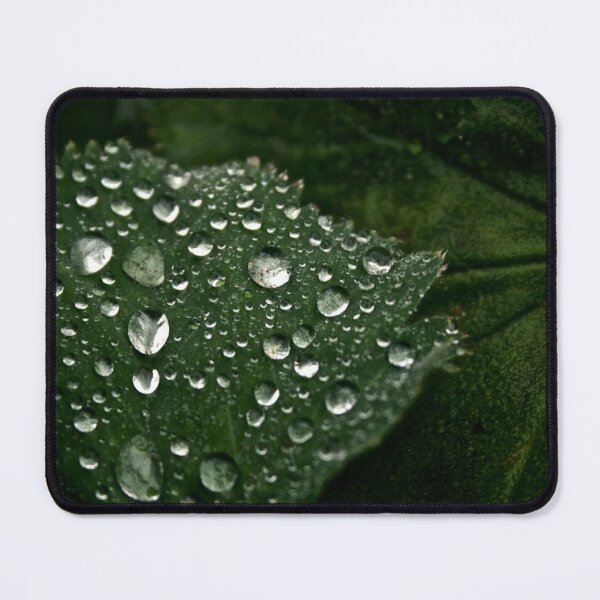 Item preview, Abstract leaf droplets designed and sold by iam01110011.