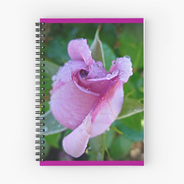 Item preview, *Lilactime bud opening after heavy Shower* designed and sold by EdsMum.