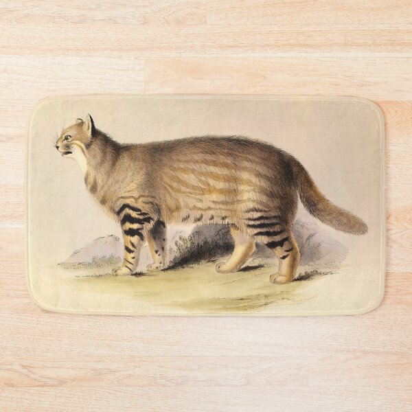 Item preview, 1838 Vintage Illustration of Pampas cat (Felis Pajeros)  designed and sold by Gin  Neko.