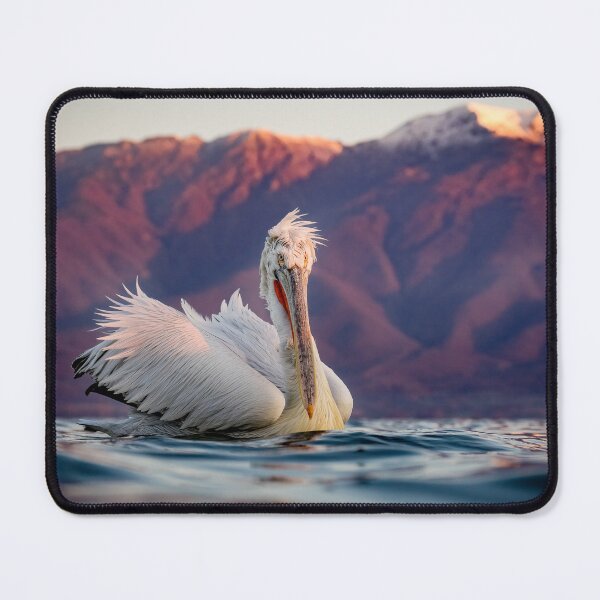 Item preview, Dalmatian Pelican designed and sold by Mark Lynham.