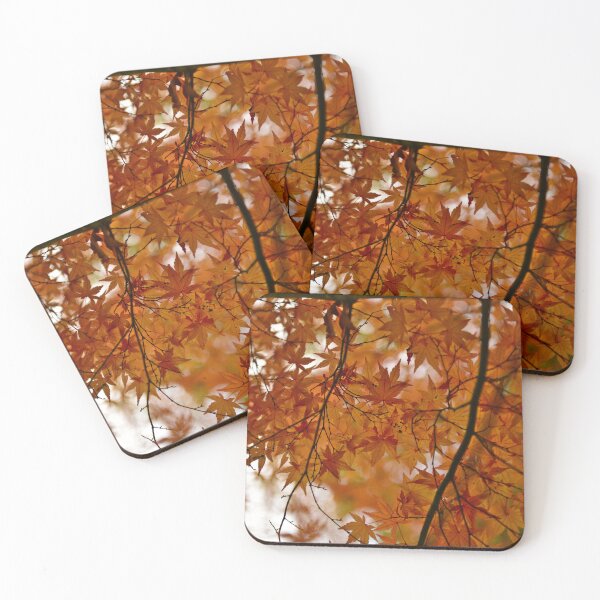 Item preview, Japanese Maple designed and sold by iam01110011.