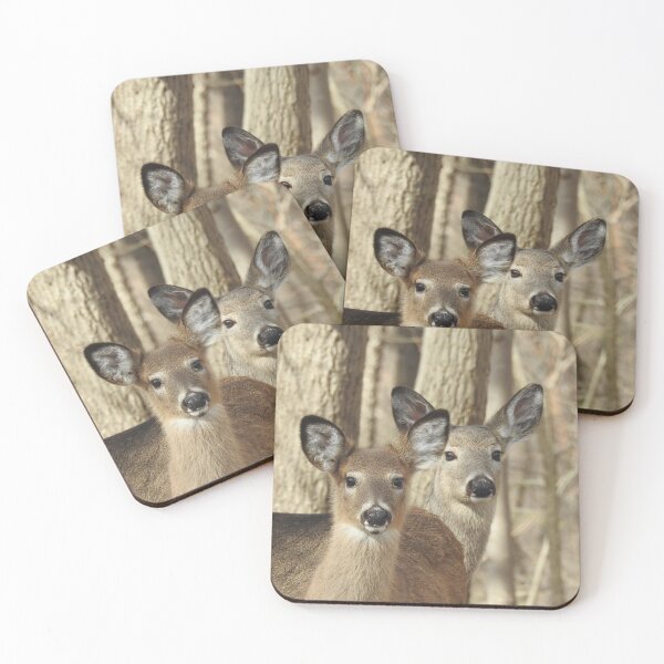 Item preview, Whitetail deer, doe and babe, wildlife photography designed and sold by Sandra O'Toole.