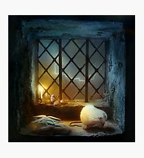 Too Many Scary Stories Photographic Print