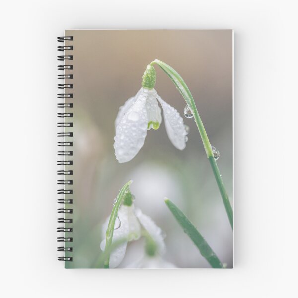 Item preview, Dew Drops on Snowdrops designed and sold by AnitaNicholson.