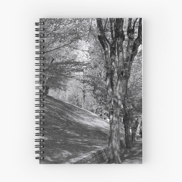 Item preview, The Hornbeam Avenue, Schlossberg, Graz 2 designed and sold by paulboizot.