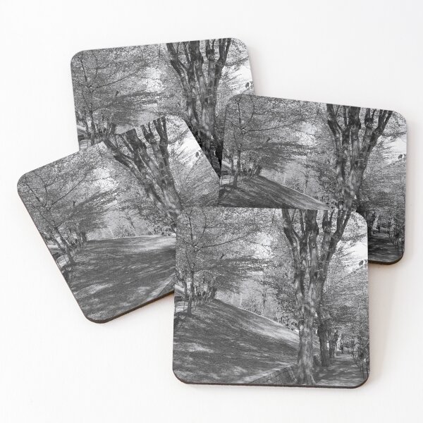 Item preview, The Hornbeam Avenue, Schlossberg, Graz 2 designed and sold by paulboizot.