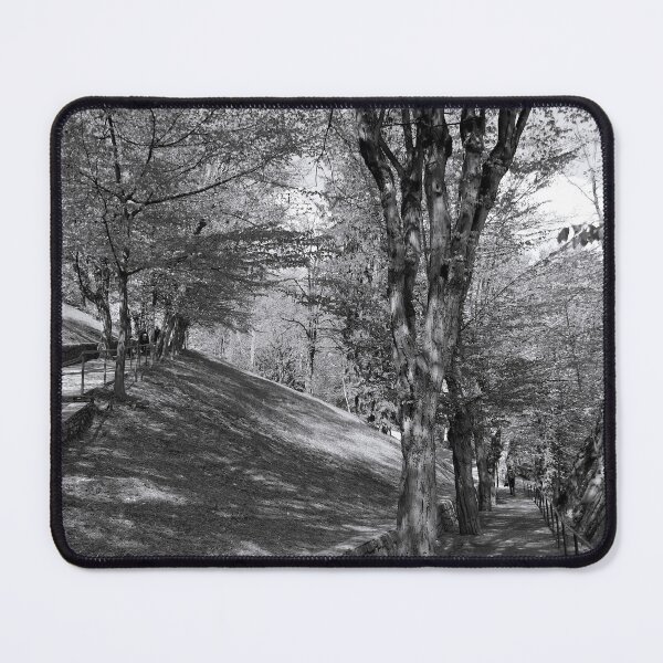 Item preview, The Hornbeam Avenue, Schlossberg, Graz 2 designed and sold by paulboizot.