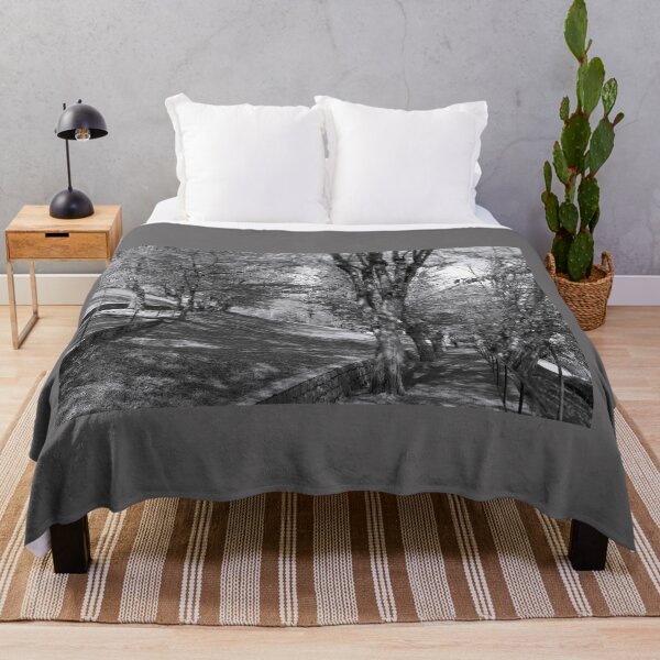 Item preview, The Hornbeam Avenue, Schlossberg, Graz 2 designed and sold by paulboizot.