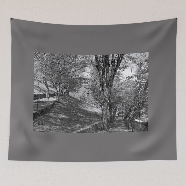 Item preview, The Hornbeam Avenue, Schlossberg, Graz 2 designed and sold by paulboizot.