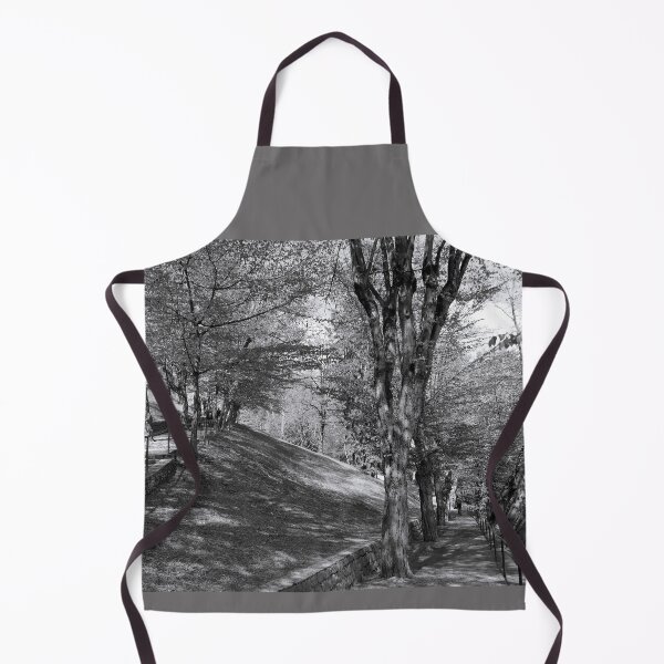 Item preview, The Hornbeam Avenue, Schlossberg, Graz 2 designed and sold by paulboizot.