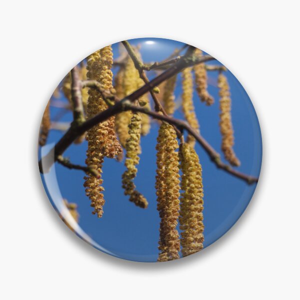 Item preview, Hazel catkins hanging high designed and sold by Josie Gilbert.