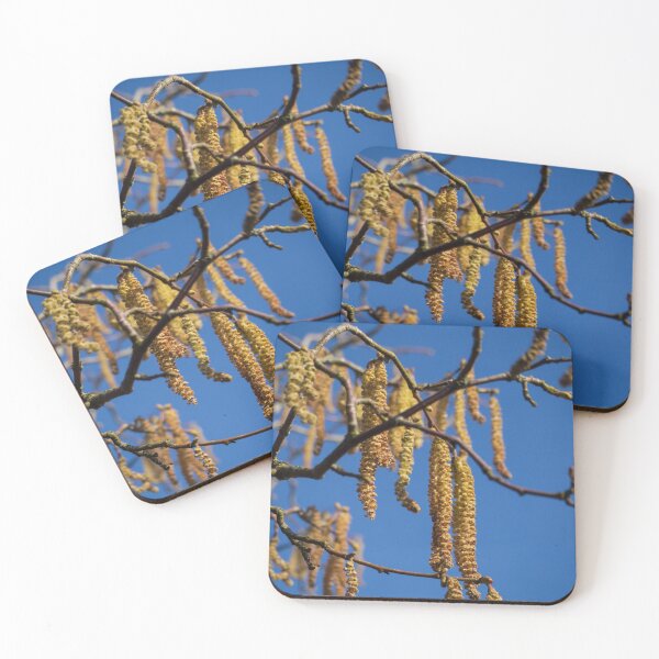 Item preview, Hazel catkins hanging high designed and sold by Josie Gilbert.