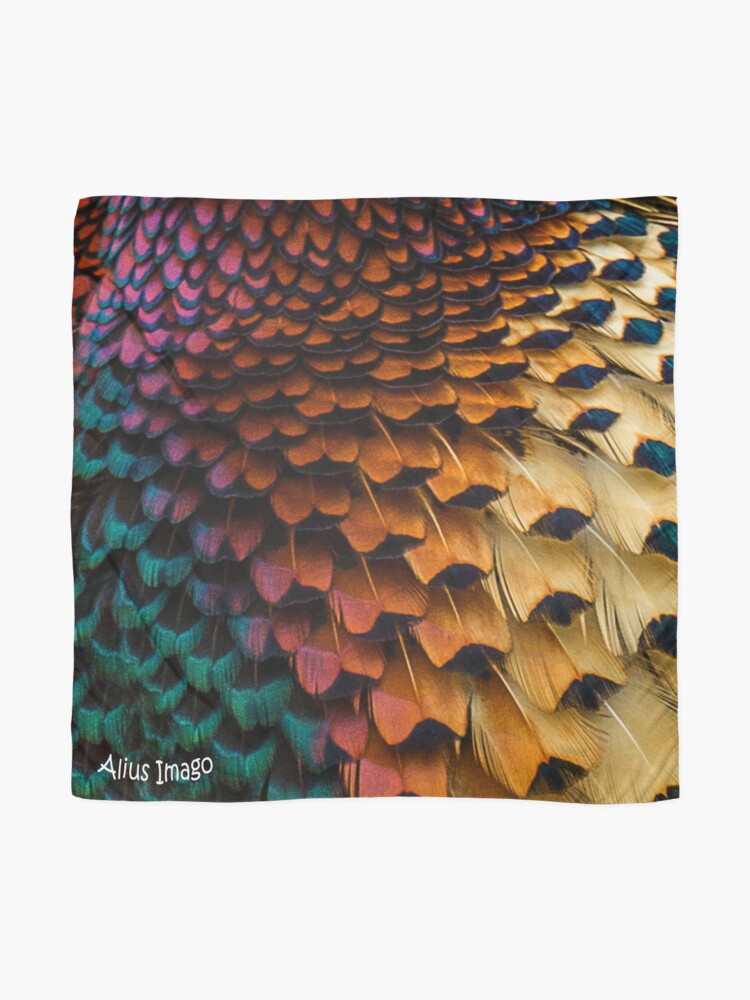 Alternate view of Natural World - Pheasant Plumage III Scarf