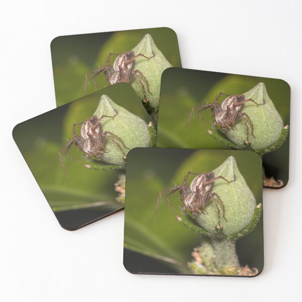 Item preview, Perched designed and sold by Geoff Wols.