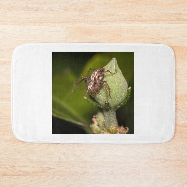 Item preview, Perched designed and sold by Geoff Wols.