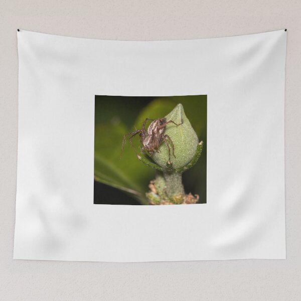 Item preview, Perched designed and sold by Geoff Wols.