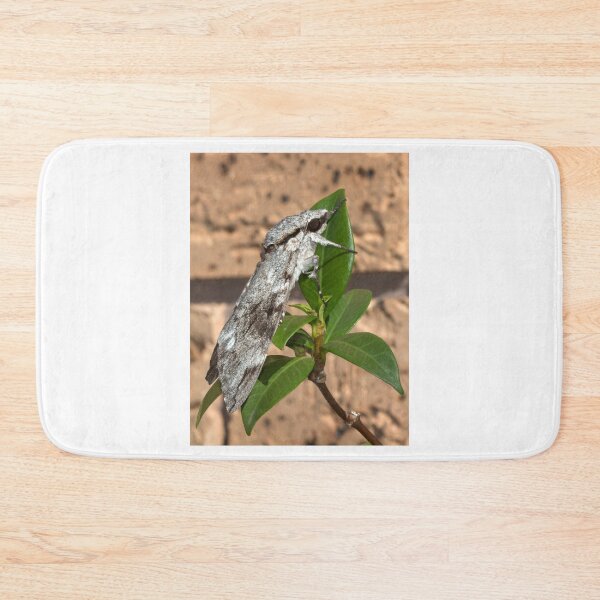Item preview, The Moth designed and sold by Geoff Wols.