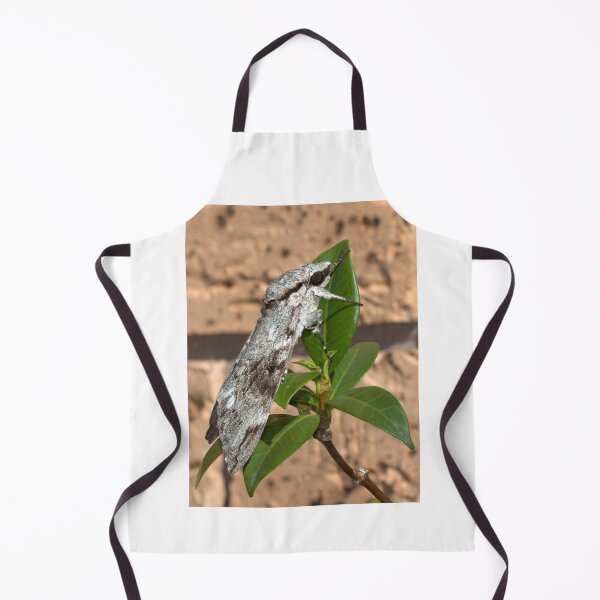 Item preview, The Moth designed and sold by Geoff Wols.