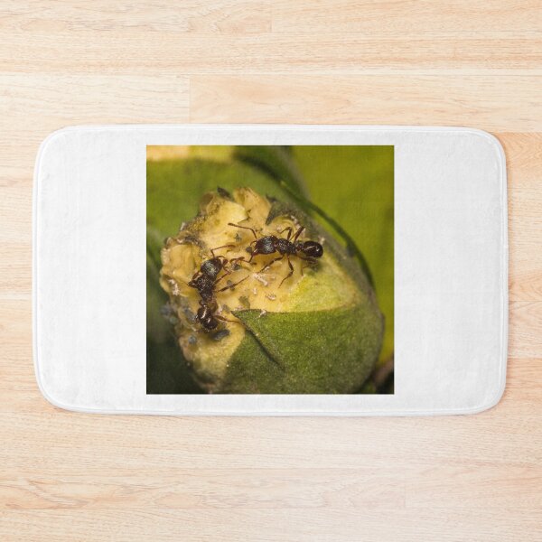 Item preview, The Meeting designed and sold by Geoff Wols.