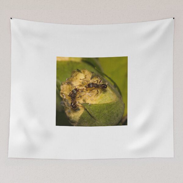 Item preview, The Meeting designed and sold by Geoff Wols.