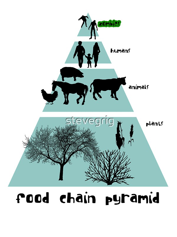 Grassland Food Chain Pyramid