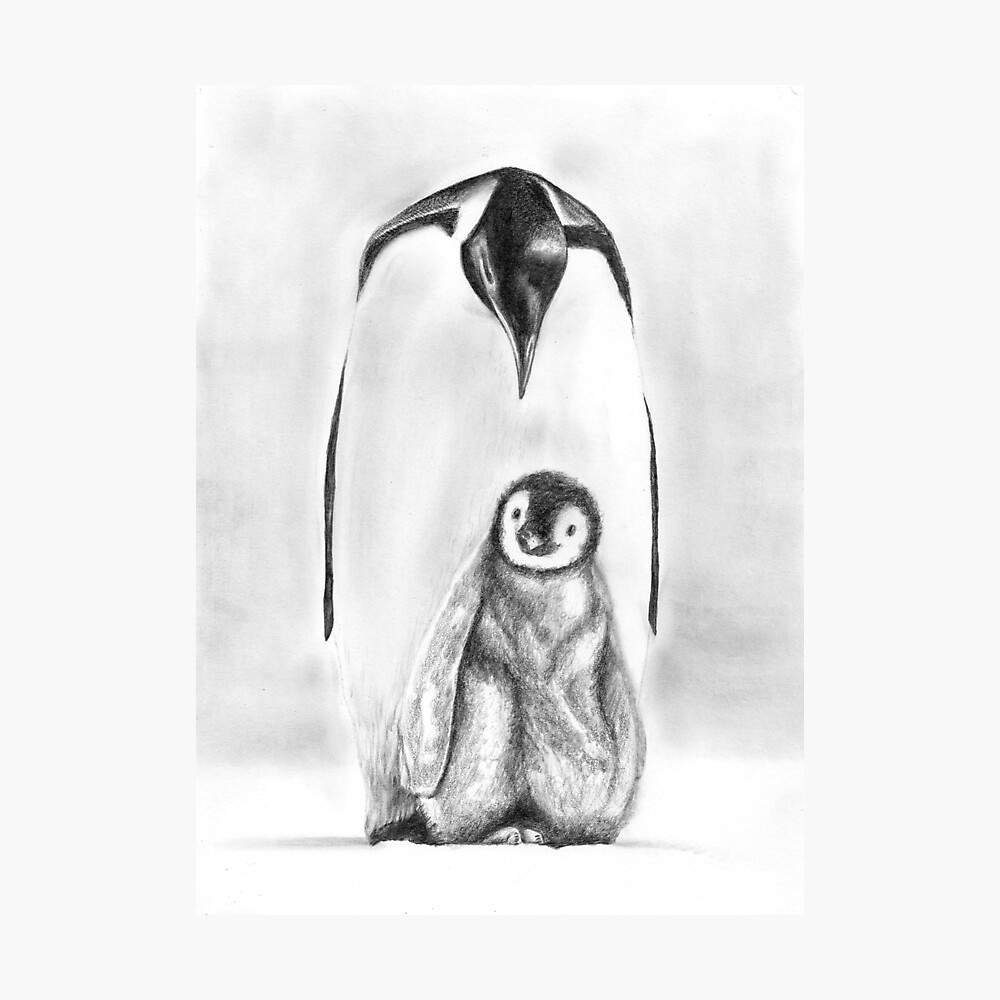 Emperor Penguin Coloring Pages - Free & Printable!