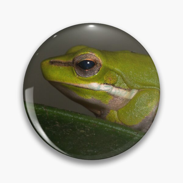 Item preview, Tree Frog designed and sold by Geoff Wols.