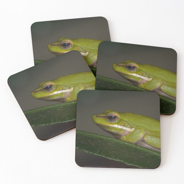 Item preview, Tree Frog designed and sold by Geoff Wols.