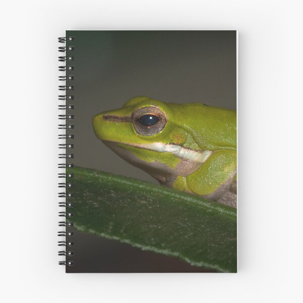 Item preview, Tree Frog designed and sold by Geoff Wols.