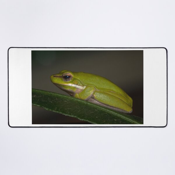 Item preview, Tree Frog designed and sold by Geoff Wols.