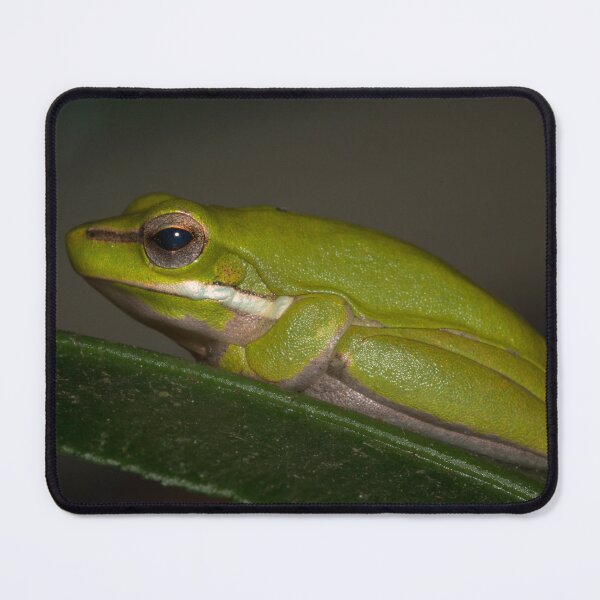Item preview, Tree Frog designed and sold by Geoff Wols.