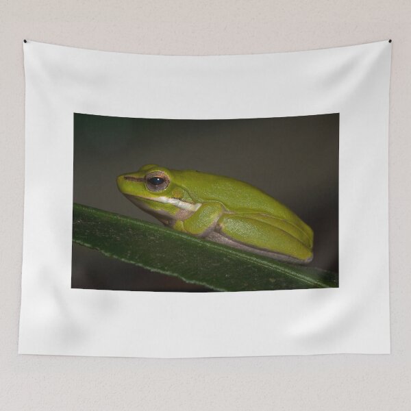 Item preview, Tree Frog designed and sold by Geoff Wols.