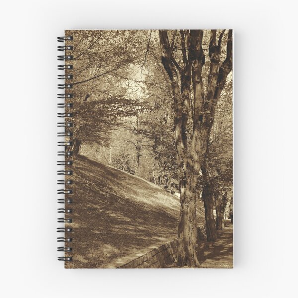 Item preview, The Hornbeam Avenue, Schlossberg, Graz 2, sepia designed and sold by paulboizot.