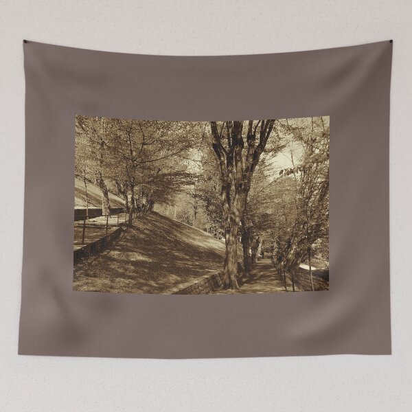Item preview, The Hornbeam Avenue, Schlossberg, Graz 2, sepia designed and sold by paulboizot.