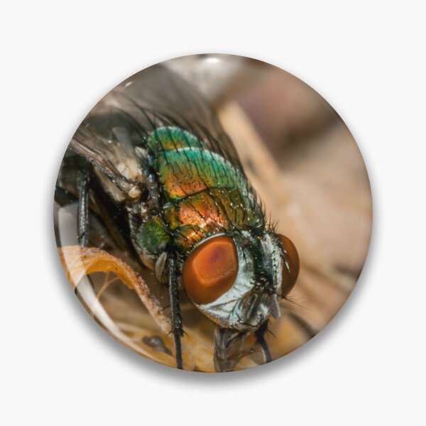 Item preview, The Fly designed and sold by Geoff Wols.